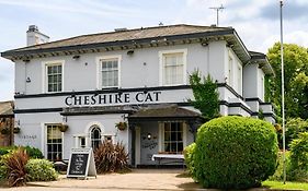 The Cheshire Cat By Innkeeper'S Collection